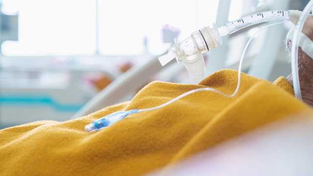 Во Львове медики областной больницы впервые провели трансплантацию сердца