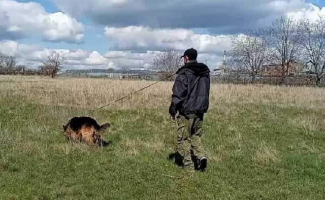 Пропавшая на Днепропетровщине девочка-подросток найдена мертвой