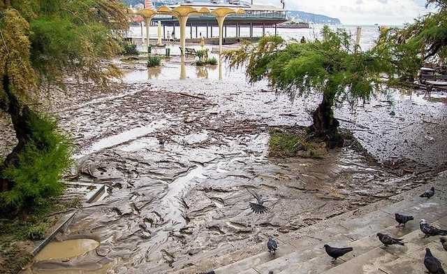 Число пострадавших от наводнения в оккупированной Ялте возросло почти вдвое