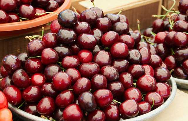 В Украине из-за непогоды возник самый большой дефицит черешни за 10 лет