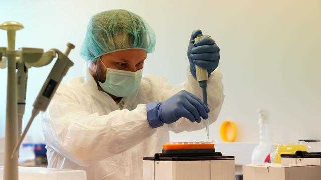 Ученые: Переболевшие коронавирусом теряют обоняние из-за уменьшения серого вещества в мозгу