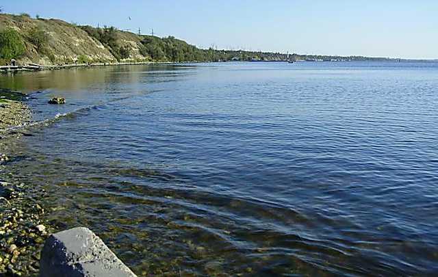 В Николаеве мужчина попытался переплыть Бугский лиман: обессиленного спасатели доставили его на берег