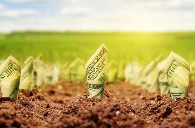 Зеленский подписал закон о продаже земли на электронных аукционах