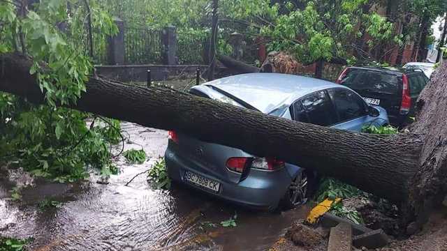 Во Львове коммунальщики всю ночь преодолевали последствия грозы