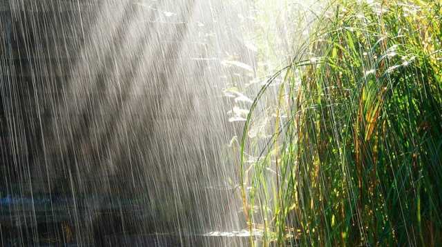 Киев в ближайшие часы накроет гроза