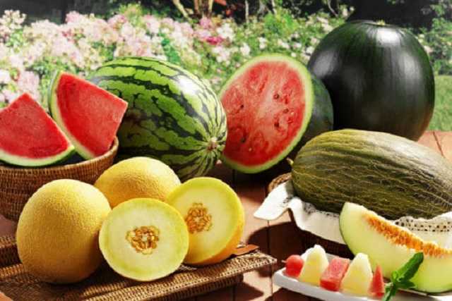 В Украине упадут цены на овощи и бахчевые