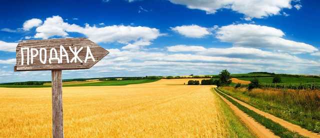 В Минагрополитики рассказали, как будет продаваться земля