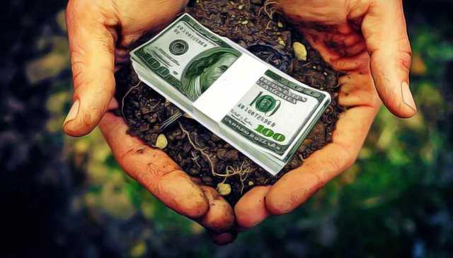 Шапранівський Клондайк, або як дерибанити без докорів сумління