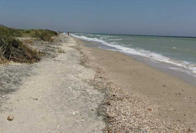 На Запоріжжі у відкрите море віднесло мати з дитиною