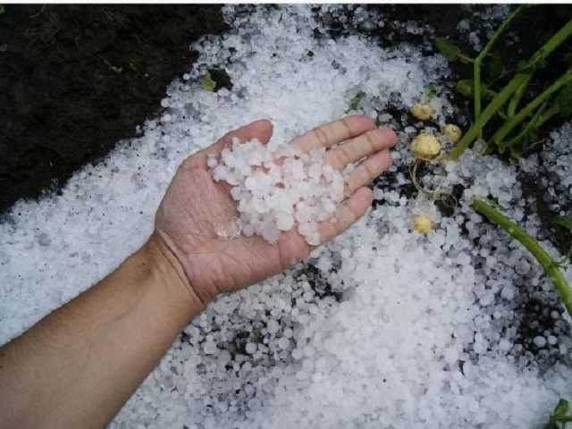Непогода разбушевалась: Бровары под Киевом засыпало градом