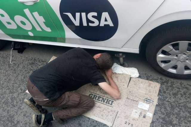 В Киеве сбежавшая змея забралась в такси