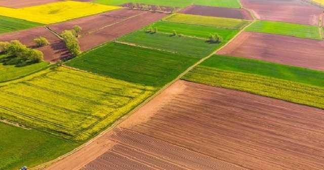 Земля, момент истины. Село вступает в новый этап жизни - каким он будет?