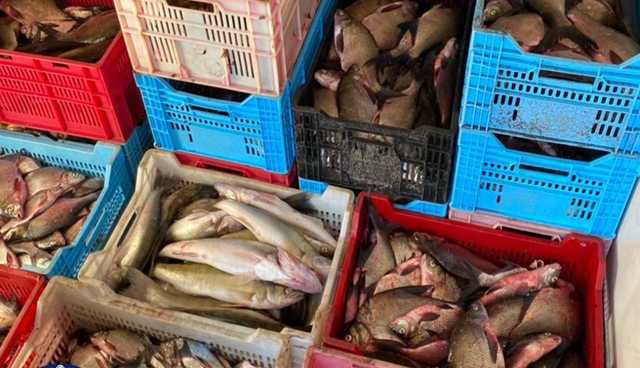 В Харьковской области закрыли крупный бизнес браконьеров