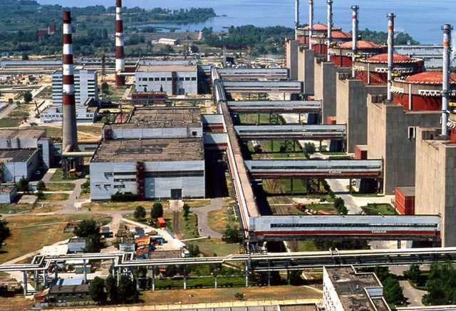 Под Запорожьем дикие кабаны "атаковали" атомную электростанцию