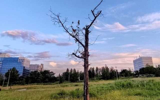 «Спасибо, Россия!»: Казанский показал Донбасс Арену