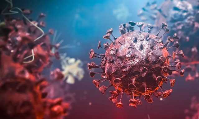 В Минздраве спрогнозировали рост случаев заражения штаммом Дельта