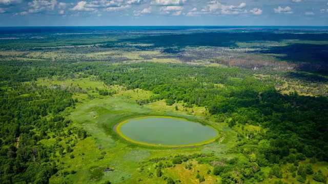 На ранее неисследованной территории Чернобыля обнаружили «глаз Полесья»