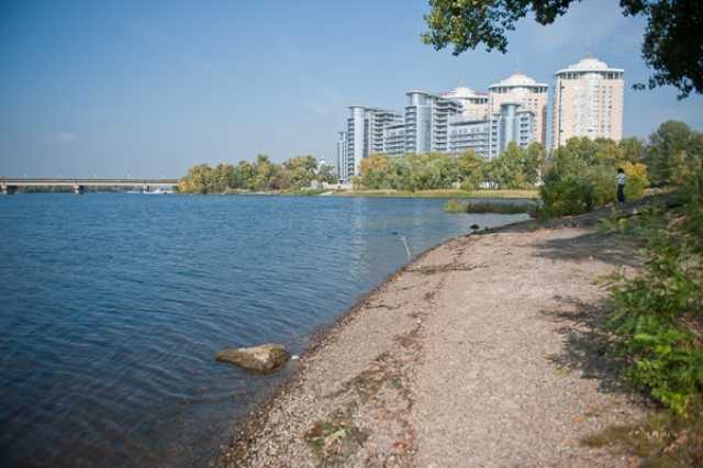 На Русановской косе в Киеве заметили медузу