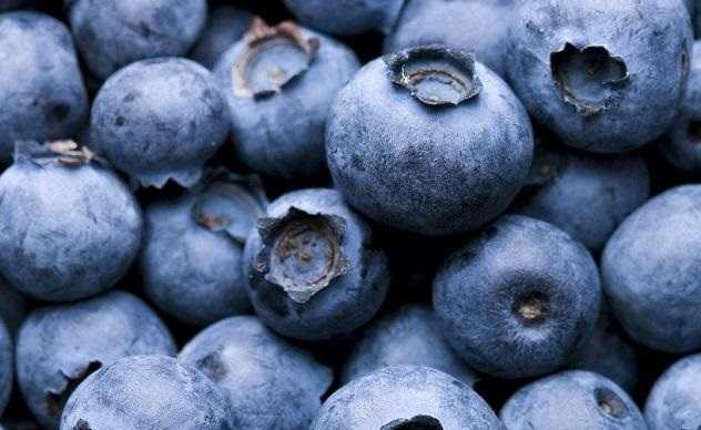 Война из-за ягод: на Житомирщине люди каждый день перекрывают дорогу в лес