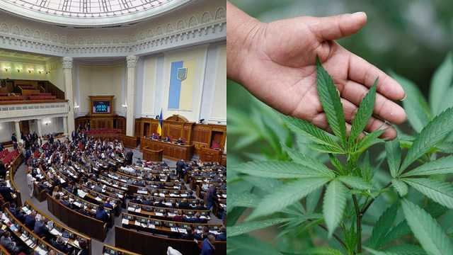 Закон о каннабисе в медицине провалили в Раде