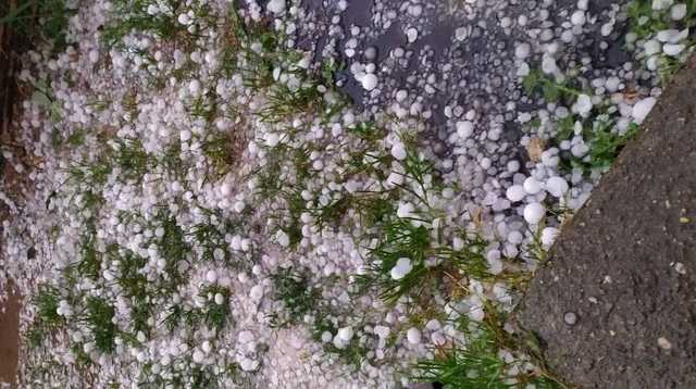 Люди плавали по улицам на байдарках: Беларусь накрыли мощные ливни с градом