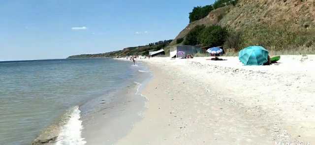 "Полчища" комаров и нашествие медуз: украинцы пожаловались на отдых на Азовском море