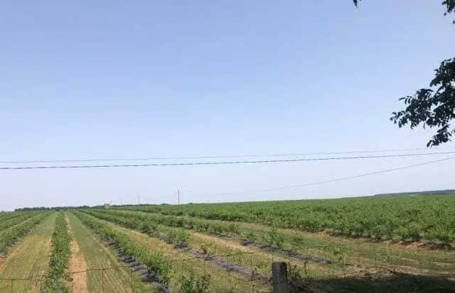 На Черкащині власники ферми побили інспекторів Держпраці