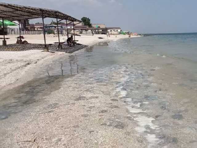 Вытаскивали четверо мужчин: в Кирилловке курортница провалилась в «братскую могилу» из медуз