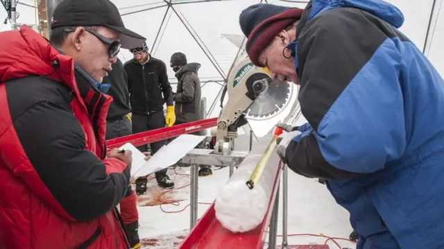 Почти три десятка неизвестных науке вирусов нашли ученые из США в ледниках Тибета