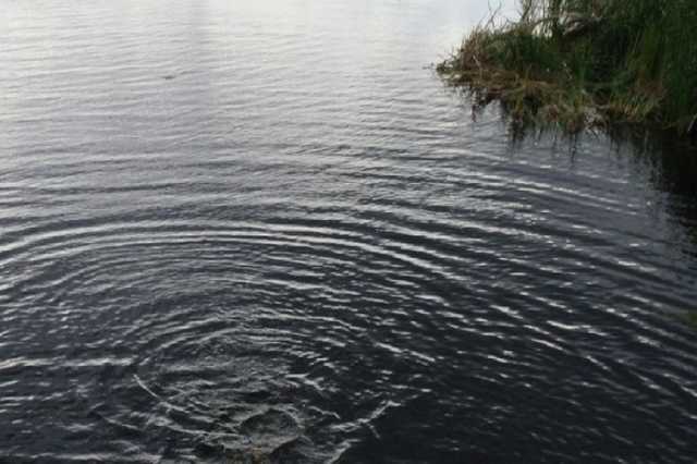 В Киеве в реке Лыбедь обнаружили окровавленный труп