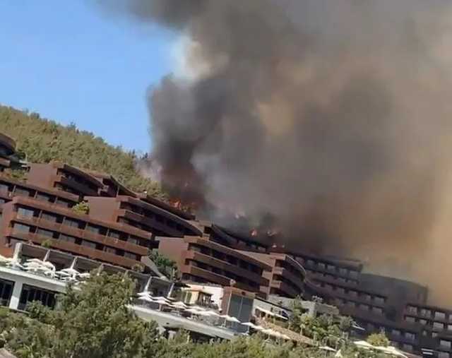 Русские туристы продолжили отдыхать на пляже в Турции, не смотря на пожар