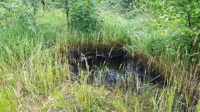 На Львовщине произошла утечка нефти