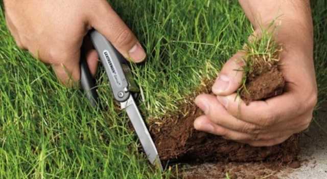 С 1 июля украинцы продали 2900 участков земли