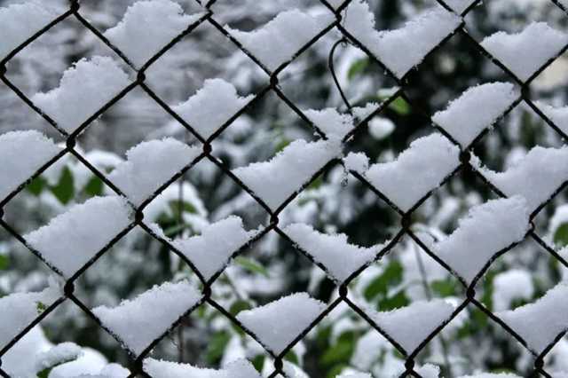 У двох регіонах Росії зафіксували сніг