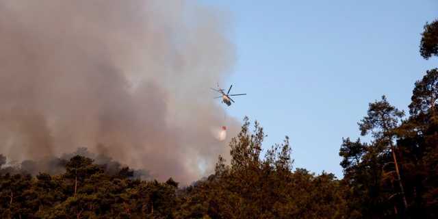 Турецкие пожарные взяли под контроль 107 лесных пожаров