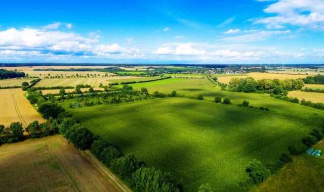 Украинцы могут потерять свои земельные участки: объяснение Минюста