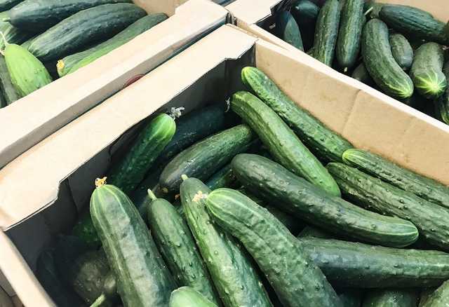 На рынке в Запорожье продавщица плюёт на огурцы, чтобы «освежить» их