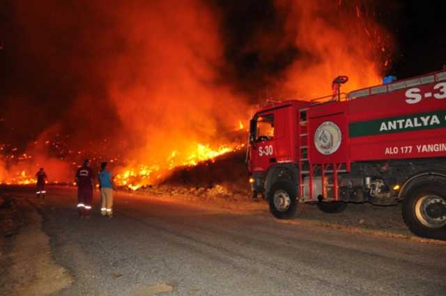 Турецкая полиция задержала российских туристов по подозрению в поджогах лесов