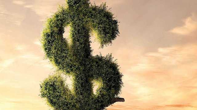 Новый валютный порядок: что будет с долларом — Project Syndicate