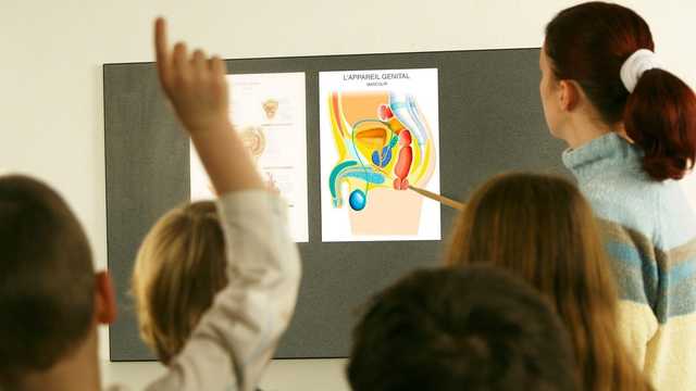 В Минобразования ответили, будут ли вводить уроки сексуального воспитания в школах