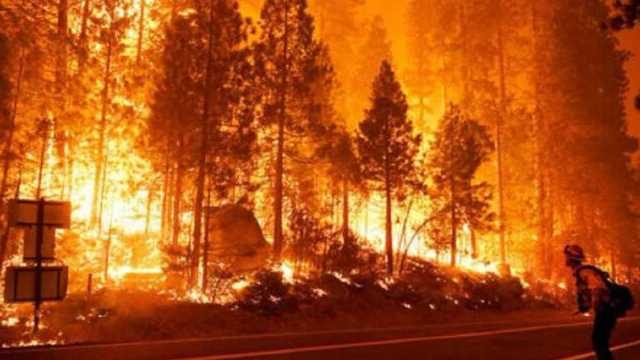 Пожар возле Афин вышел из-под контроля: людей эвакуируют на побережье