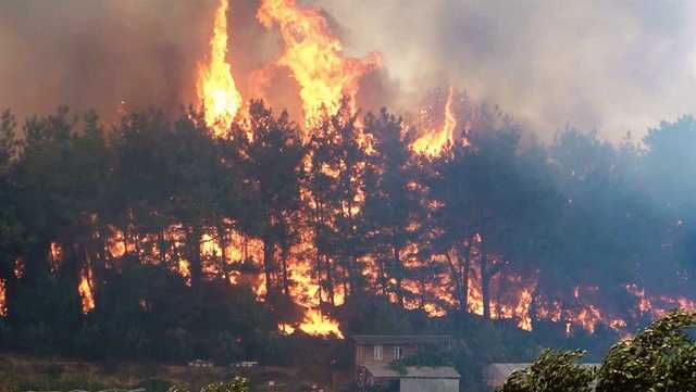 В Турции арестовали шесть человек по подозрению в поджогах