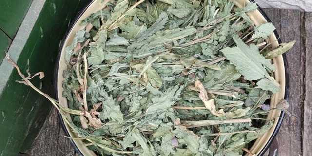 На Полтавщине пенсионерка выращивала коноплю и хранила дома ружье