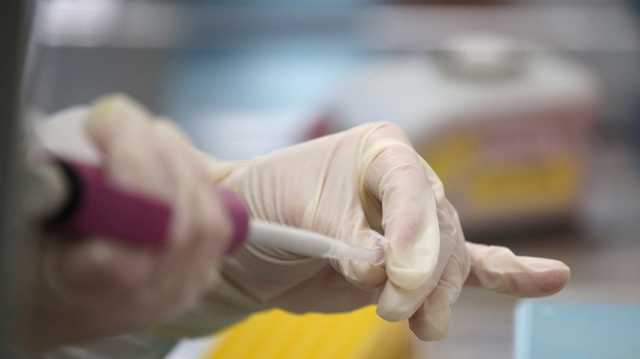 В 27 странах выявили новый штамм коронавируса, который смертоноснее других