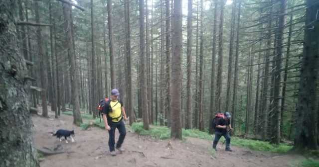 Отстал от группы и заблудился: на горе Говерла ищут маленького мальчика