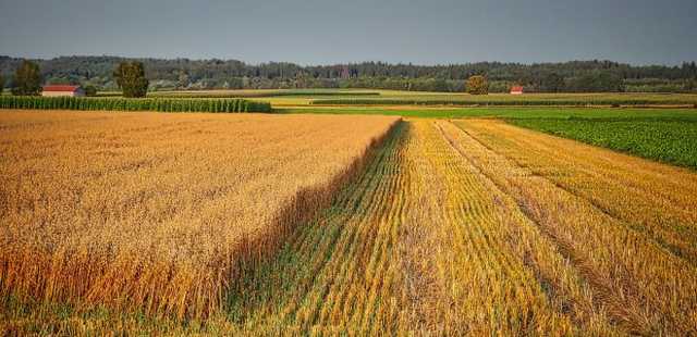Зарегистрировано 6,5 тыс. сделок по продаже земли, - Шмыгаль