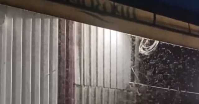 Кирилловку атаковали полчища комаров: названа их особенность