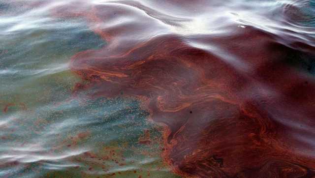 Кто заплатит за экологическую катастрофу на Черном море