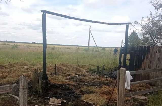 На Житомирщине трагически погиб 6-летний ребенок: в полиции раскрыли подробности