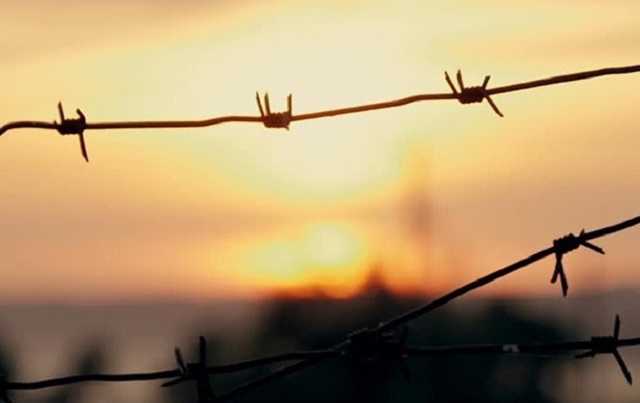 Слезы радости за "народ Донбасса": вот вам, бесплатный валежник